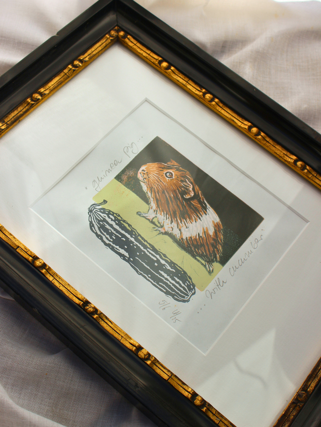 Guinea Pig with Cucumber