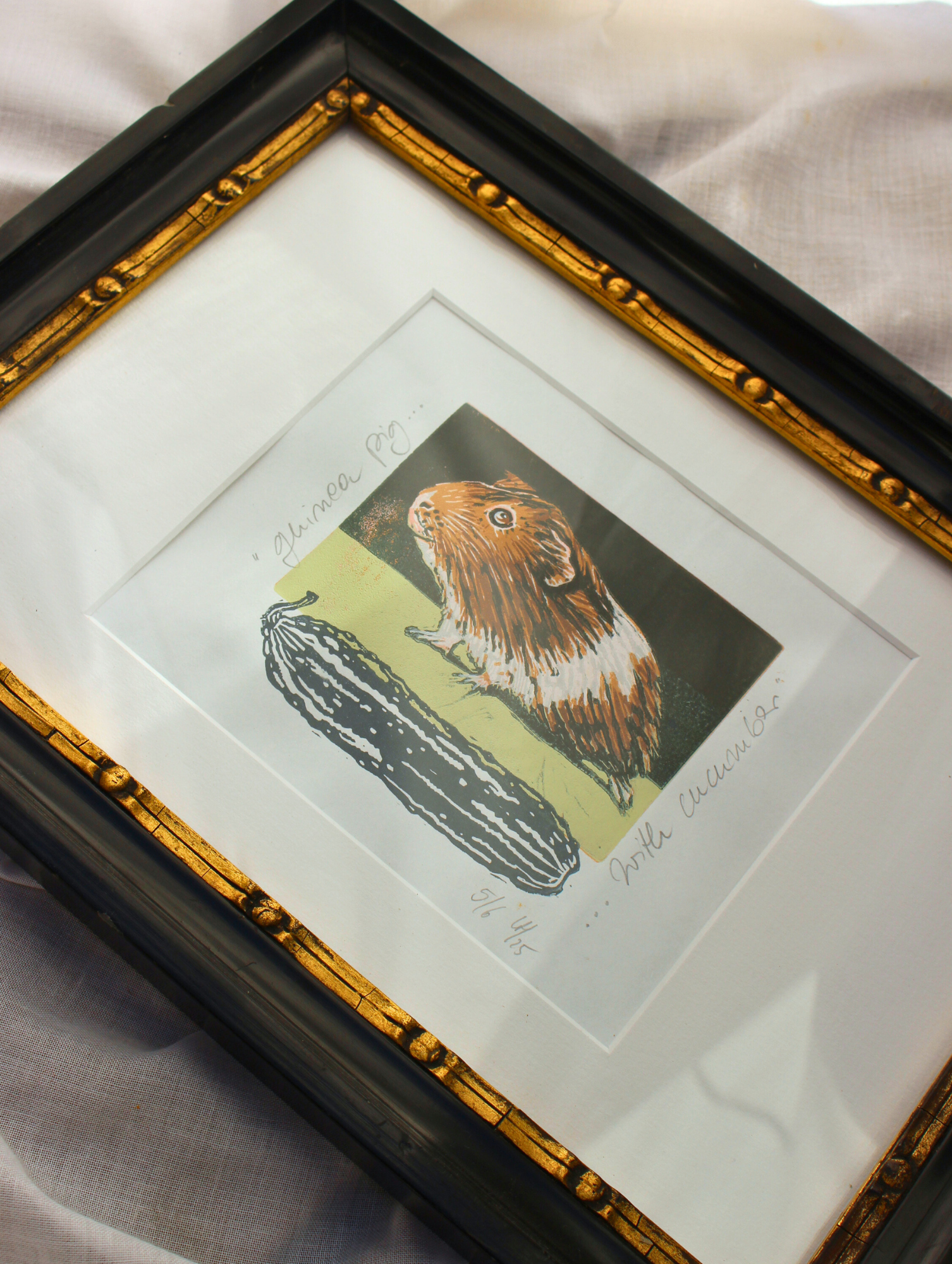 Guinea Pig with Cucumber